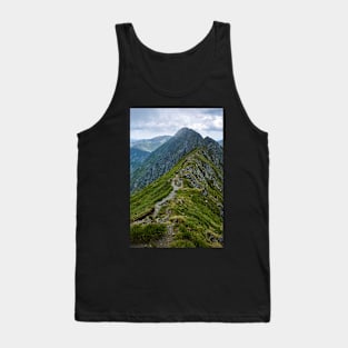 Mountaineous summer landscape Tank Top